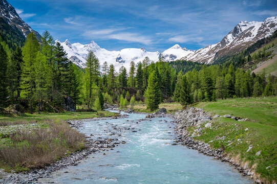 Wildbach Ova da Roseg im naturbelassenen Val Roseg, Engadin