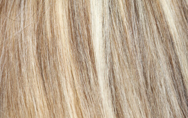 Blonde hair as an abstract background.