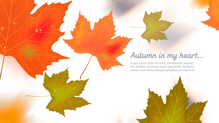 Autumn leaves fly in the wind. Vector clipart