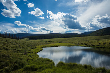 Fototapeta na wymiar lake and green meadow in the mountains