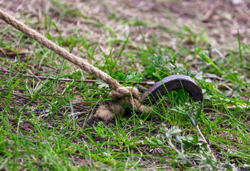 A peg hammered into the ground