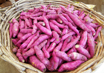 Bucket of Sweet potatoes for sell in Sri Lanaka.