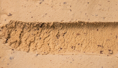 Scooping Ice cream flavoured Mocha Chip surface, Top view Blank for design..
