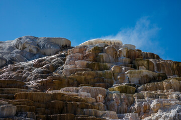 Mammoth Hot Springs, Yellowstone National Park