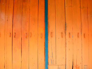 Fototapeta premium Timber plank panel door.