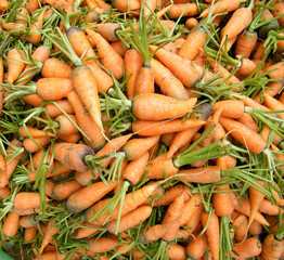 Fresh Carrots on a market stall.