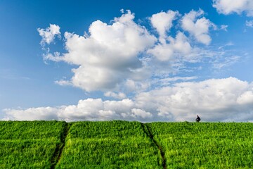 田舎の土手風景