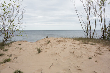 City Carnikava, Latvia. Walking place by the Baltic Sea with sand and trees.