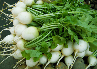 Freshly harvest white radish on a market stall.