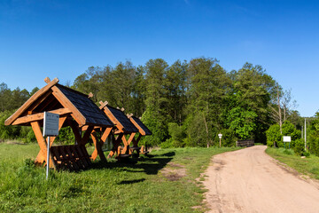 Puszcza Knyszyńska. Szlaki turystyczne Podlasia. Piękno Podlasia, Polska © podlaski49