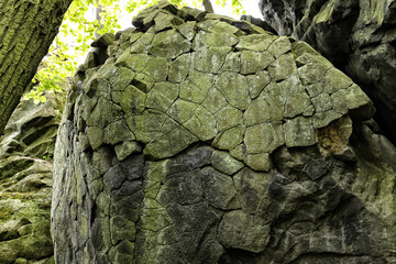 Detail of volcanic stone with hexagonal structure