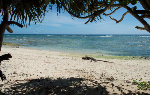 南国の木々の木陰とエメラルドグリーンの海と流木のある白い砂浜 Canvas Print 忠司 上里
