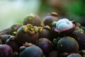 A pile of mangosteen with one fruit cut in half to see the white flesh inside. It looks soft and tasty.