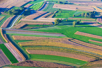 Aerial view of the fields in early autumn, Medjimurje County, Croatia