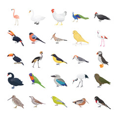 Birds Flat Vector Icons Pack  © Vectors Market