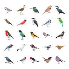 Fototapeta premium Birds Flat Vector Icons Collection 