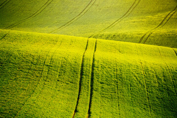 Fantastic view on of sunlit wavy fields of agricultural area. Location place of South Moravia region, Czech Republic.