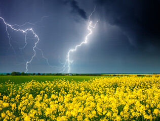 Ominous storm clouds are highlighted by lightning over field. Rural area in springtime.