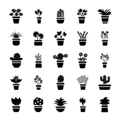 Houseplants Glyph Vector Icons 