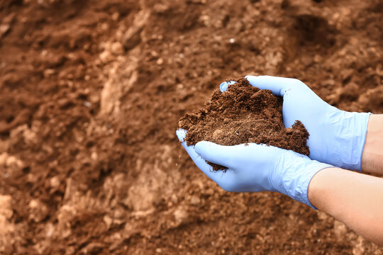 Man testing rich soil outdoors