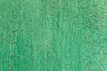 Obraz premium Teal painted wall texture background, design pattern template