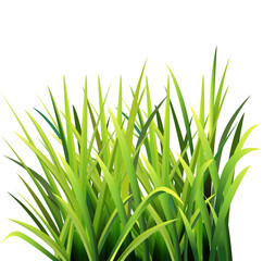 Vector illustration a group of green grass, seen from the side.