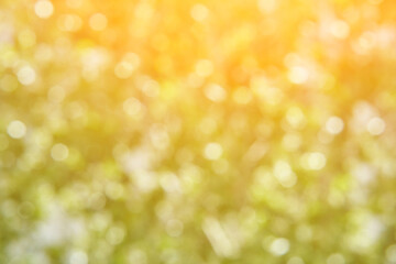 Colorful bokeh background. Business blurry wallpaper. Abstract soft texture. Dreamy sunlights. Card decoration. Glamour backdrop. Bush leaves enviroment. Green and orang sun light