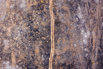 Post Forest fire scorched land and trail crossing, Aerial view.