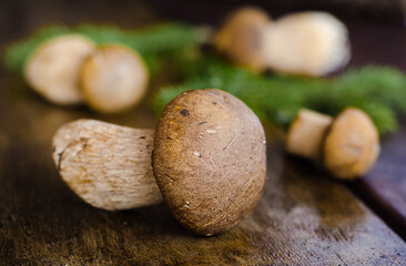 Fresh forest mushrooms on a wooden background.