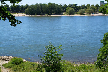 Der Rhein im Kölner Stadtteil Stammheim