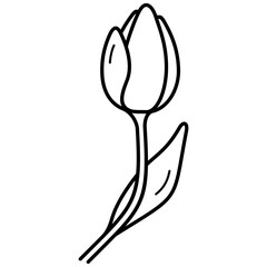tulip vector icon in outline