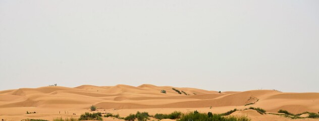 landscape in the desert and blue sky