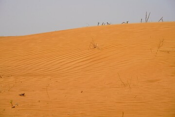 sand dunes in the desert