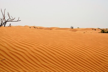 Fototapeta na wymiar sand dunes with ripples in the desert