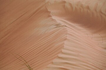 sand dunes in desert 