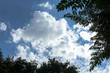 Obraz premium sun and clouds sky and clouds