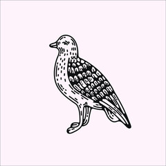 Obraz premium seagull bird hand drawn simple vector illustration for logo design in vintage style. linocut graphic element clipart. isolated graphic design assets, ready to use clipart, two color options.