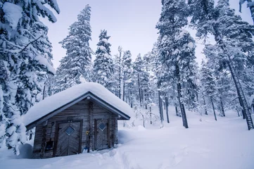 Fotobehang winter in finish lapland © schame87