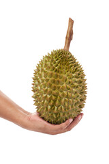 Durian is an economic fruit. Sold to all over the world