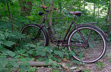 Fototapeta na wymiar Abandoned bicycle in a forest