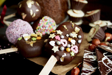 Homemade chocolate cake pops. Selective focus