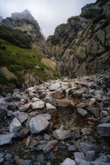 Foggy, wet conditions in mountains. Dull, autumn weather.