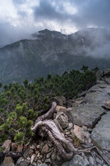 Foggy, wet conditions in mountains. Dull, autumn weather.