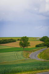 Idyllic countryside panoramic view. Green meadow, hills, field and road under blue sky