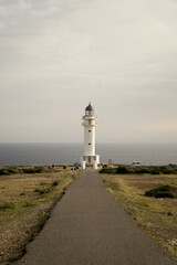 Faro