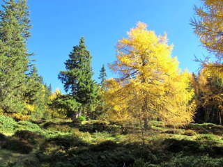 herbststimmung am mirnock, kärnten, österreich