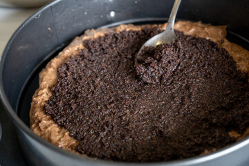 Making a cake in a baking dish. Chocolate dough and poppy seed filling. Woman smoothes the surface with a spoon. Close-up