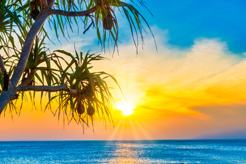 Sunset sea and beach with coconut palm tree and sunset sun on dramatic sky