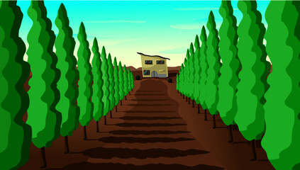 Summer landscape, house in perspective and trees by the road.