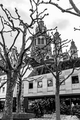 black and white photo of St. Martin's Cathedral through tree branches in the old German city of Mainz